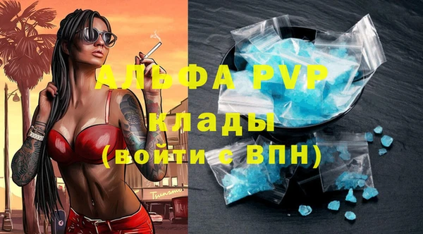 гашик Зеленокумск